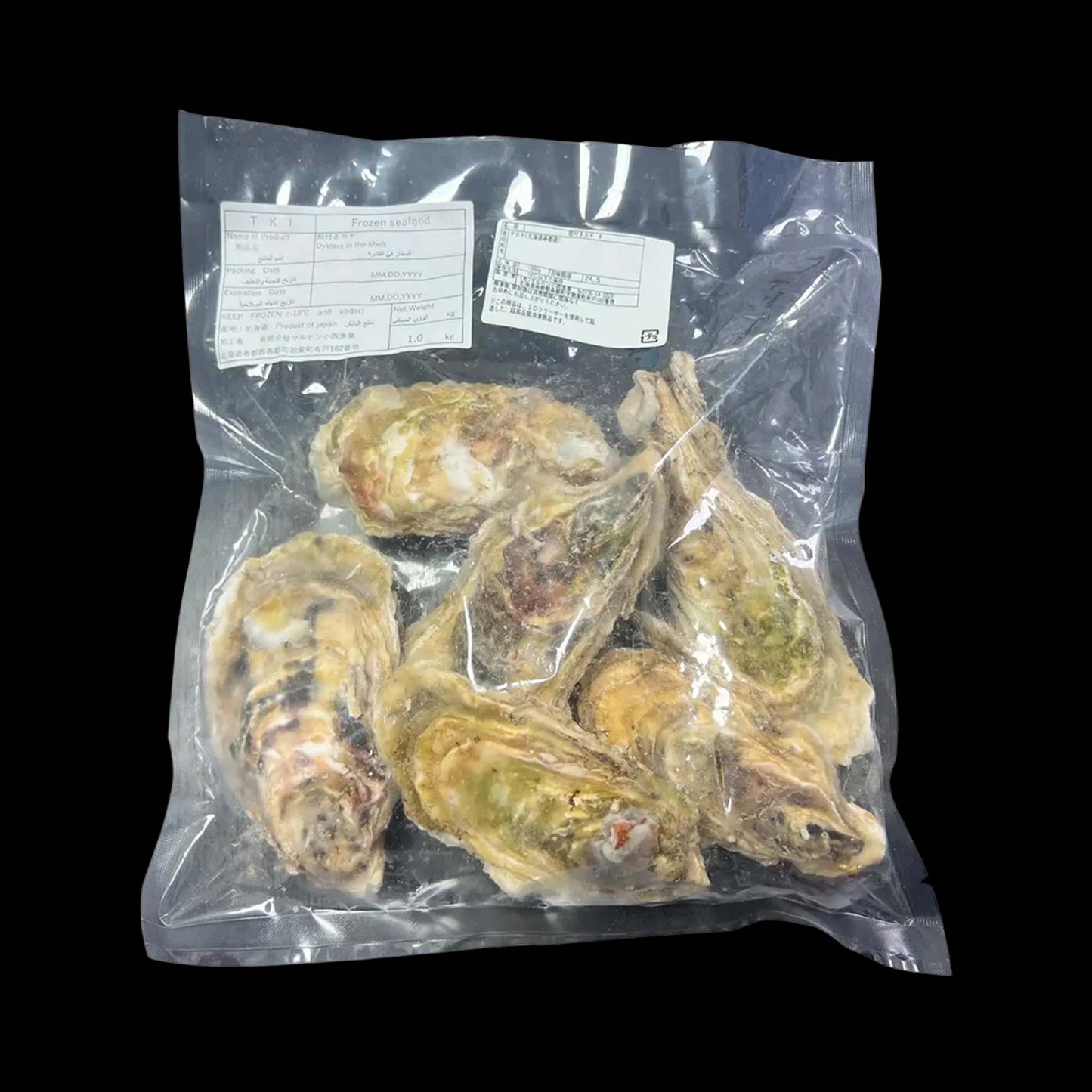 Japanese Hokkaido Oyster