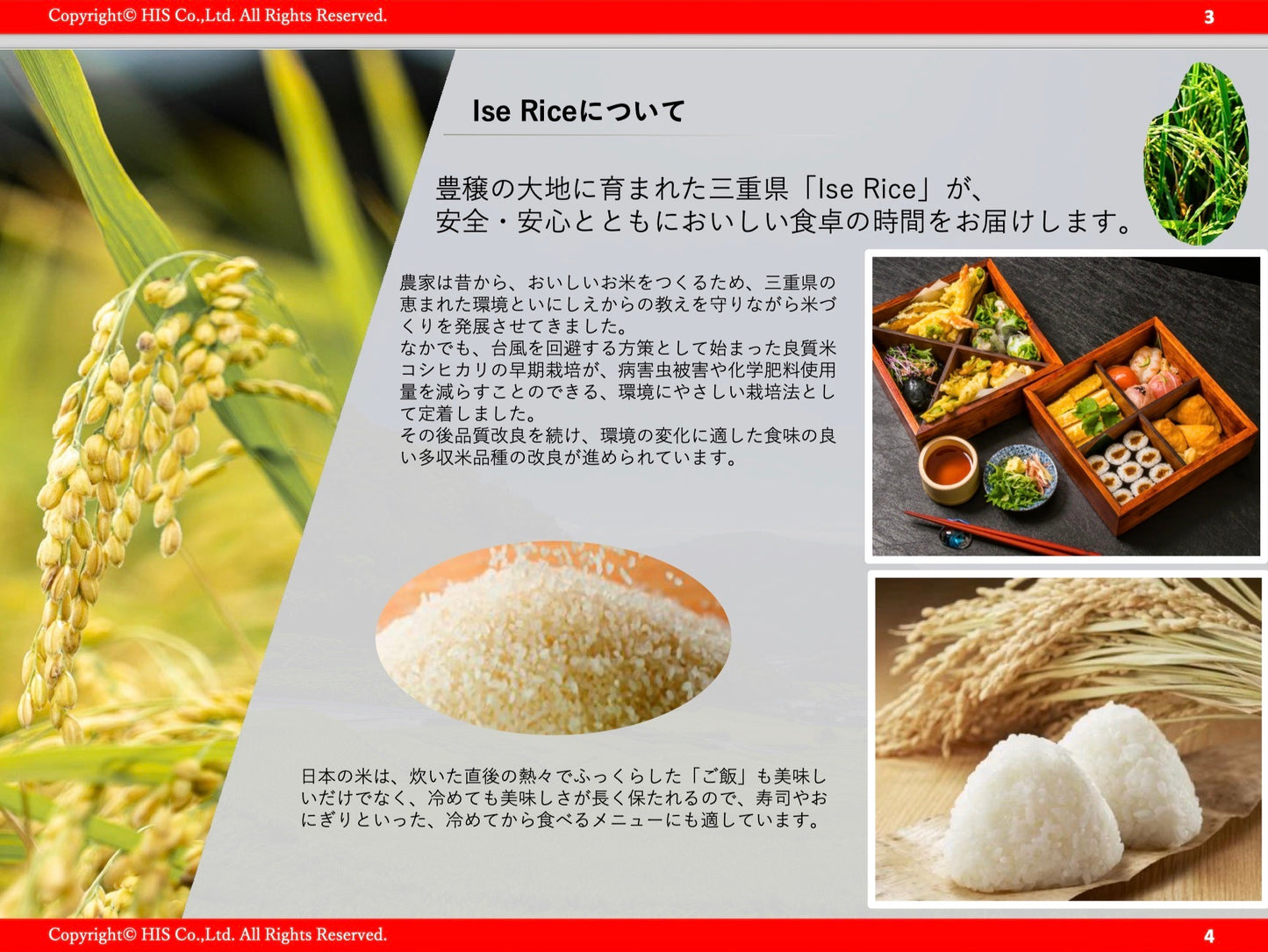 三重県産 にじのきらめき - Ise Rice - 日本米