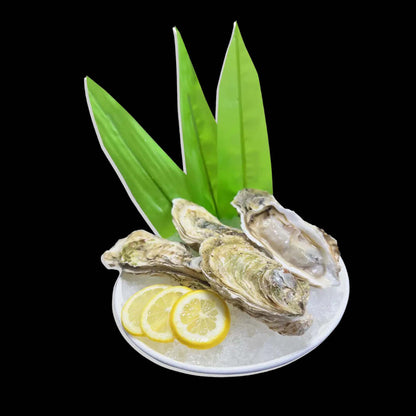 Hokkaido Oyster